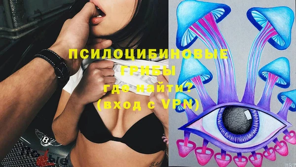 СК Арсеньев