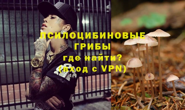 мет Баксан
