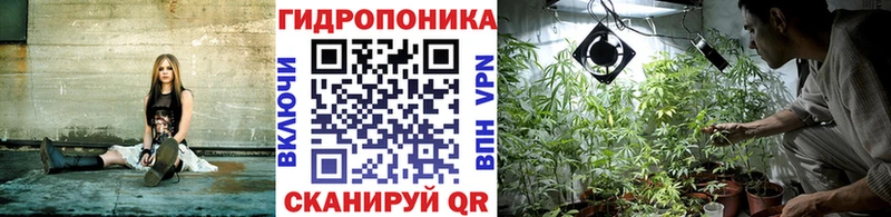 Купить  Туринск  Бошки марихуана индика 